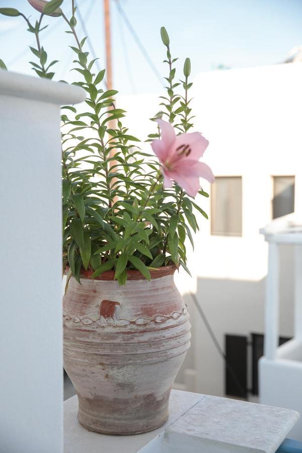 Green Loft Room In Naxos Chora Naxos City Exterior foto